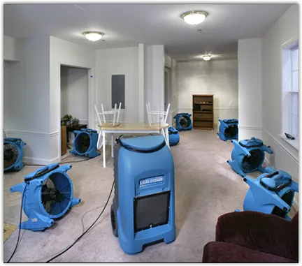 Water Extraction & Removal in Wellington, CO