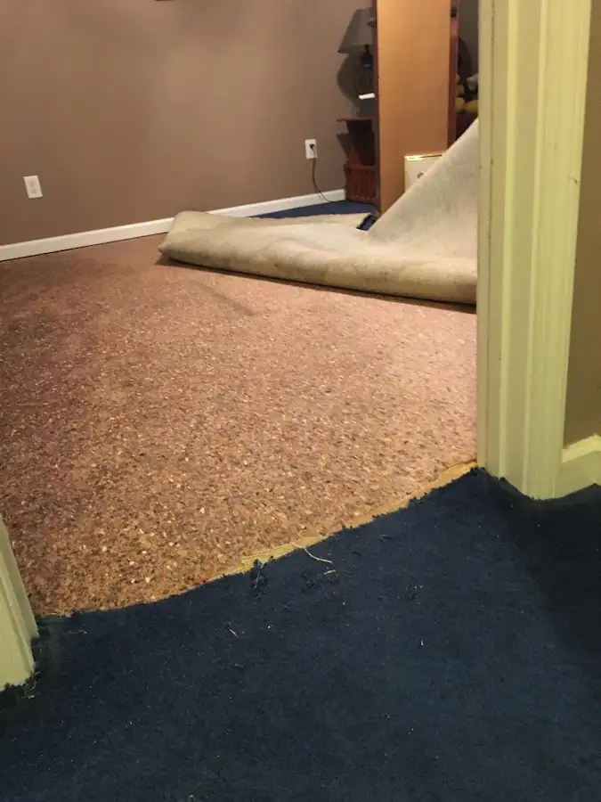 Carpet pad removal revealing water damage during Drying & Dehumidification in Wellington