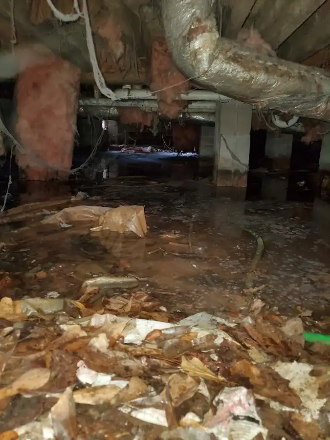Crawl space flood assessment for Commercial Water Damage Restoration in Wellington