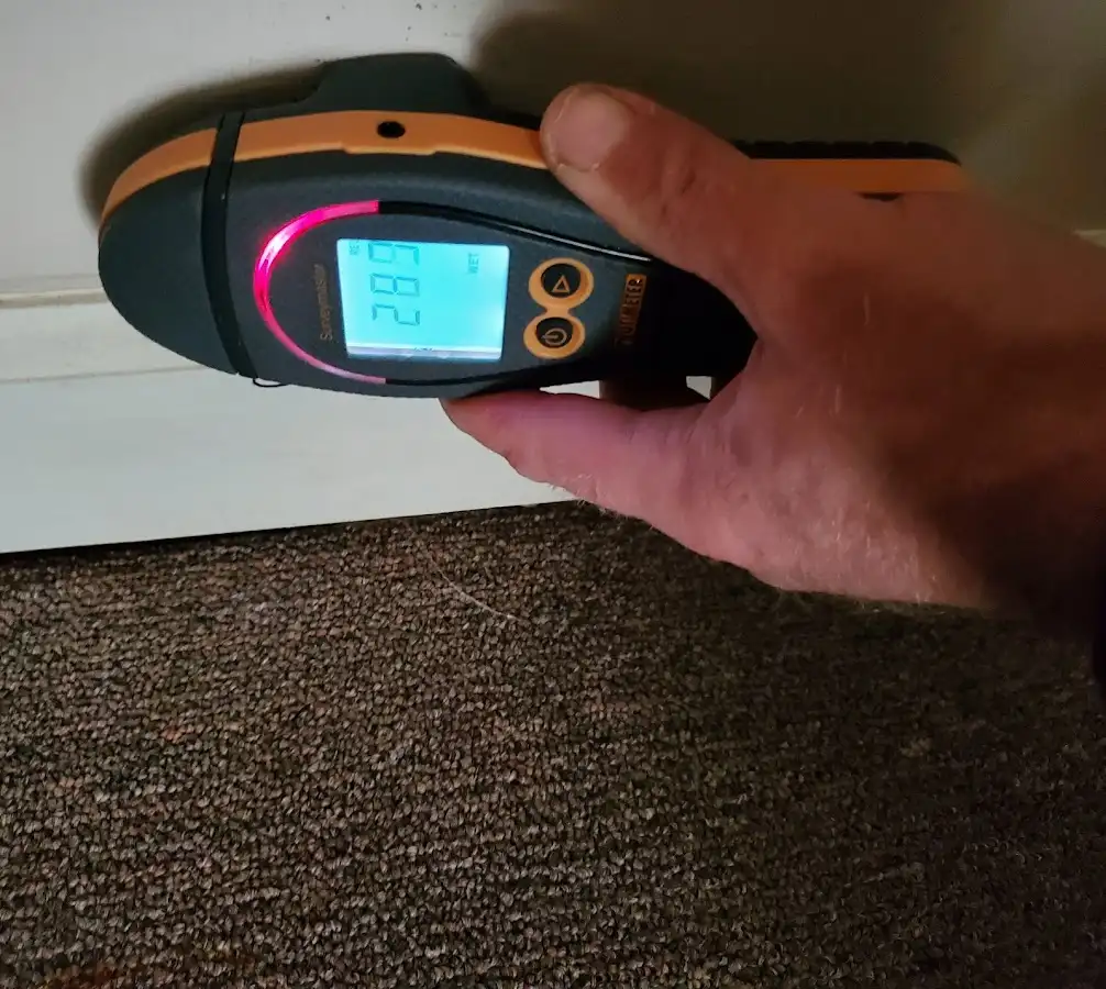 Moisture detection at baseboard during Storm Damage Restoration in Wellington